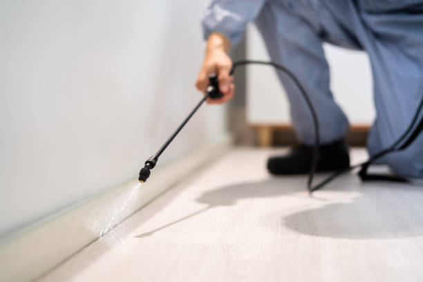 Licensed Fumigation Services service in Kemah, TX - Nex Pest Control