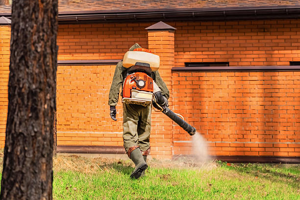 Trusted Rodent Control service in Kemah, TX - Nex Pest Control